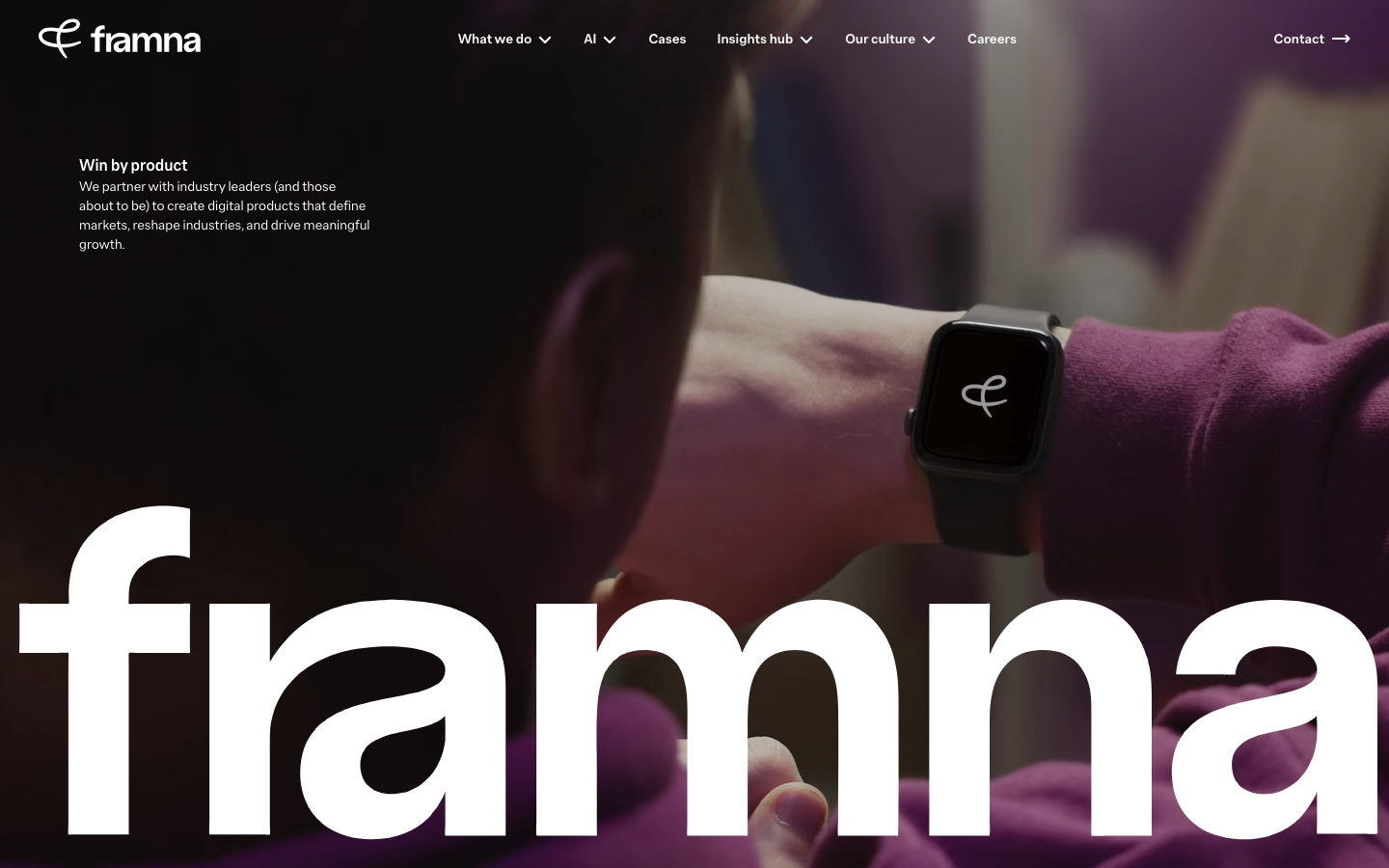 Screenshot van de website van Framna